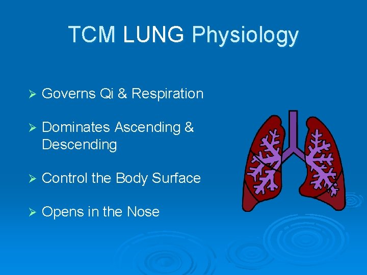 TCM LUNG Physiology Ø Governs Qi & Respiration Ø Dominates Ascending & Descending Ø