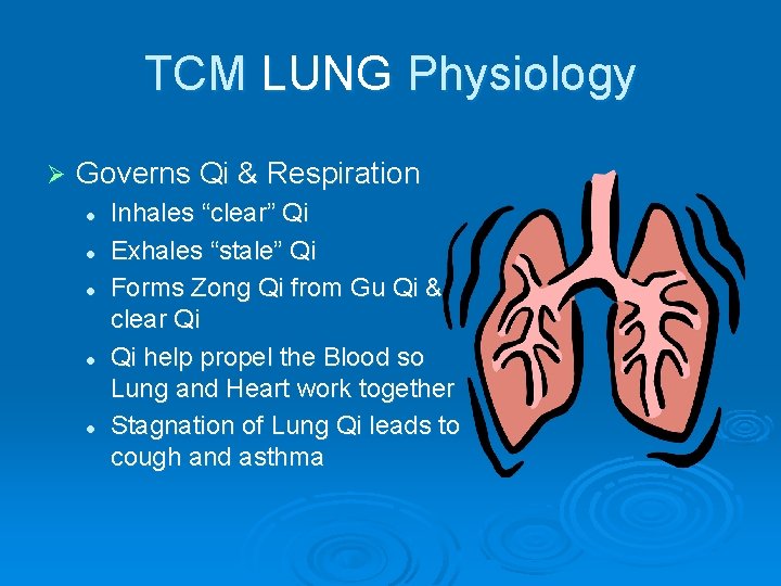 TCM LUNG Physiology Ø Governs Qi & Respiration l l l Inhales “clear” Qi