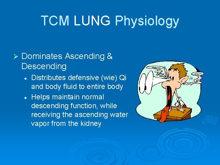 TCM LUNG Physiology Ø Dominates Ascending & Descending l l Distributes defensive (wie) Qi