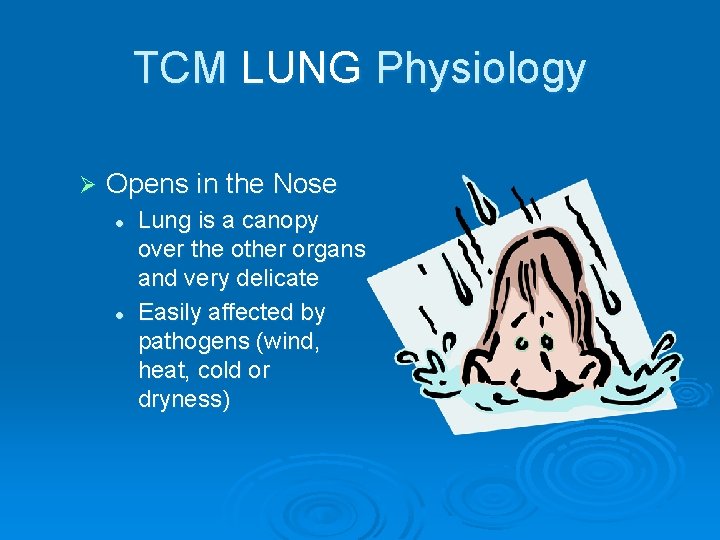 TCM LUNG Physiology Ø Opens in the Nose l l Lung is a canopy