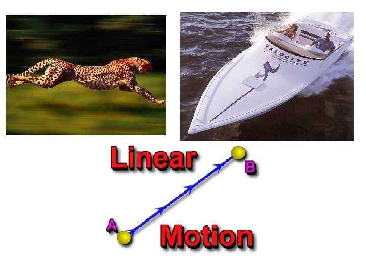 Objects Moving Real Relative motion All objects in the universe move