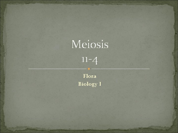 Meiosis 11 -4 Flora Biology I 