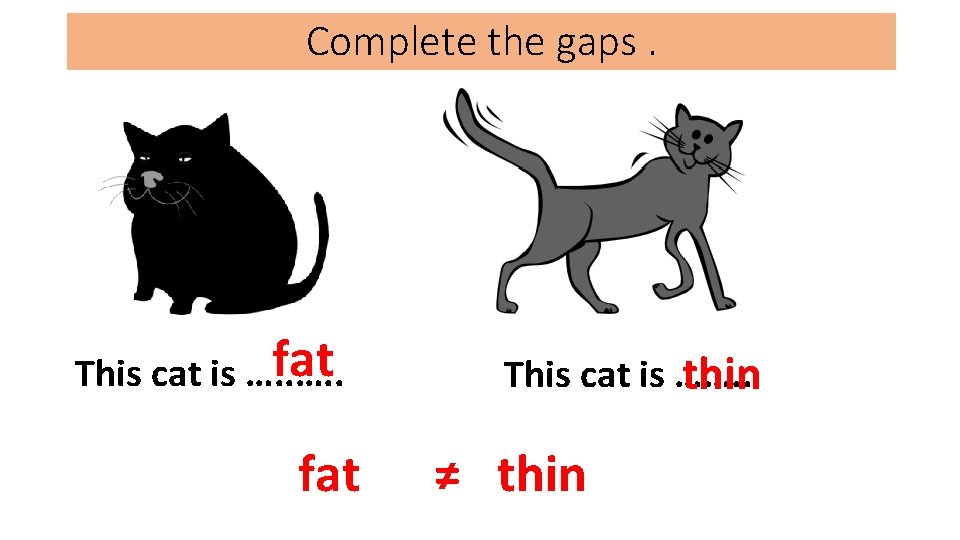 Complete the gaps. fat This cat is …. . fat This cat is …….