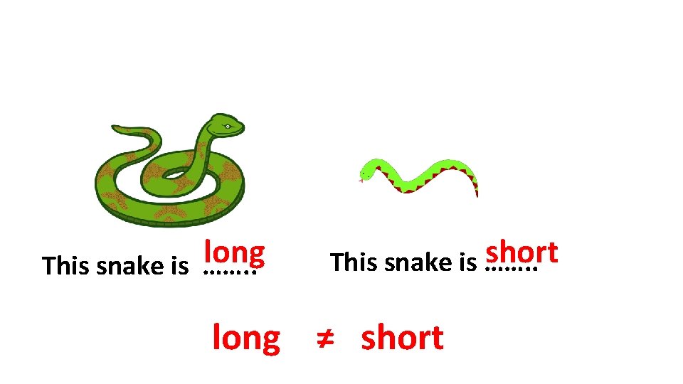 long This snake is ……. . short This snake is ……. . long ≠