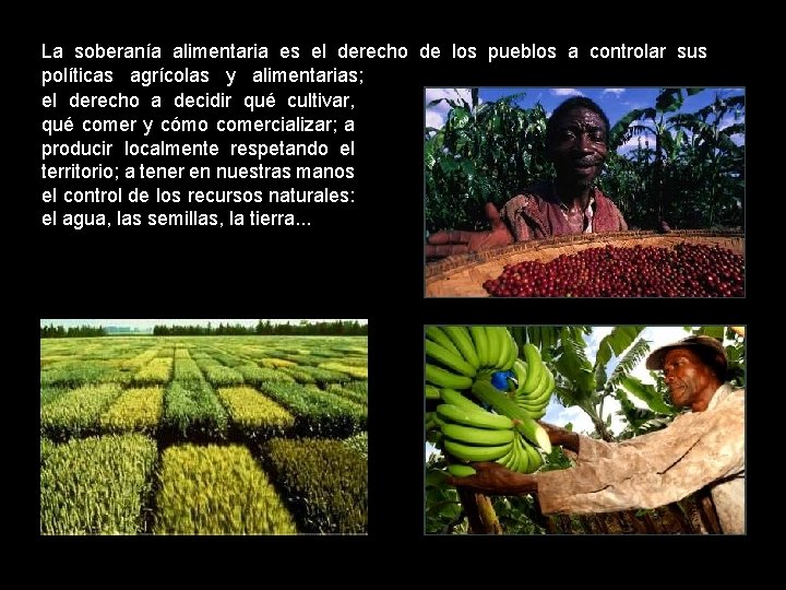 La soberanía alimentaria es el derecho de los pueblos a controlar sus políticas agrícolas
