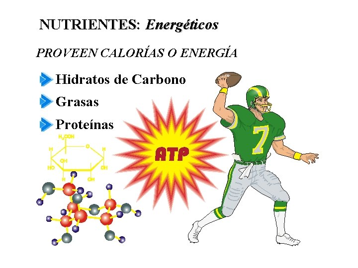 NUTRIENTES: Energéticos PROVEEN CALORÍAS O ENERGÍA Hidratos de Carbono Grasas Proteínas 