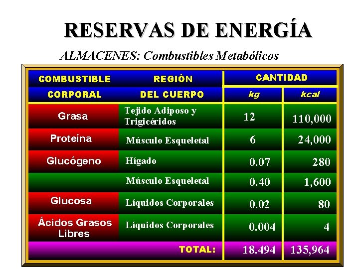 RESERVAS DE ENERGÍA ALMACENES: Combustibles Metabólicos COMBUSTIBLE REGIÓN CORPORAL DEL CUERPO Grasa Proteína Glucógeno