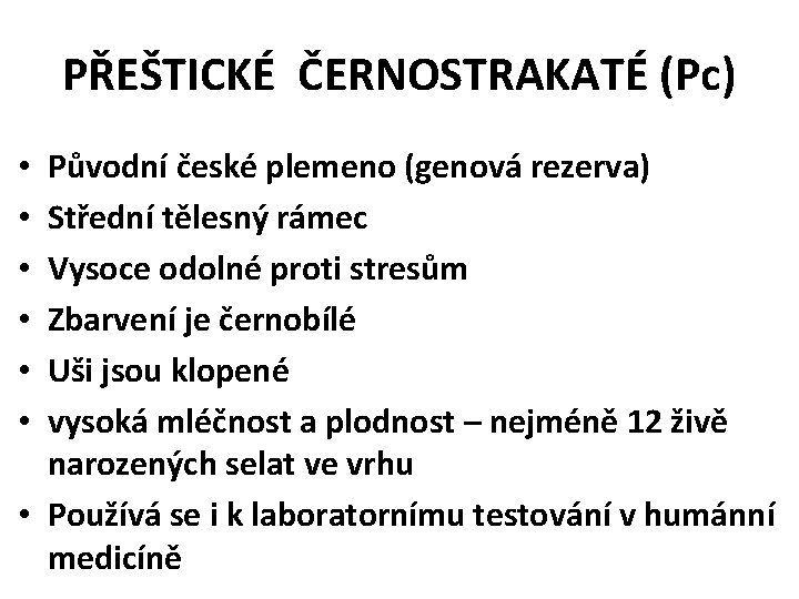 PŘEŠTICKÉ ČERNOSTRAKATÉ (Pc) Původní české plemeno (genová rezerva) Střední tělesný rámec Vysoce odolné proti