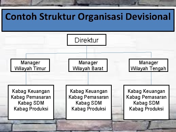 Contoh Struktur Organisasi Devisional Direktur Manager Wilayah Timur Manager Wilayah Barat Kabag Keuangan Kabag