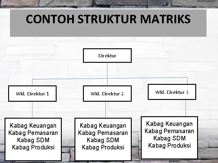 CONTOH STRUKTUR MATRIKS Direktur Wkl. Direktur 1 Kabag Keuangan Kabag Pemasaran Kabag SDM Kabag