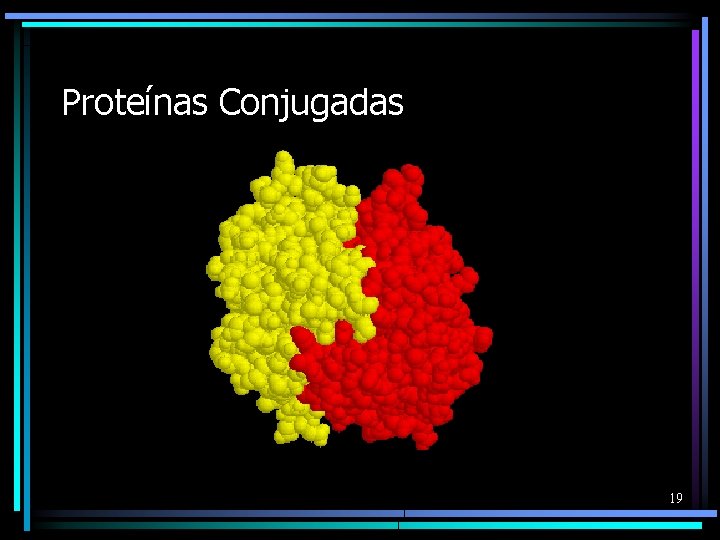 Proteínas Conjugadas 19 