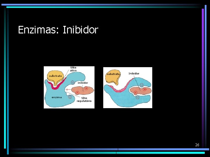 Enzimas: Inibidor 26 