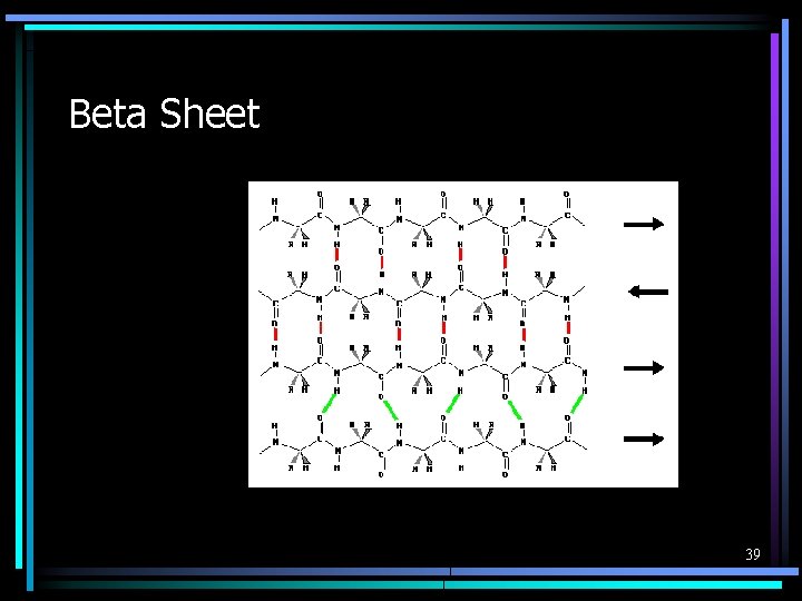 Beta Sheet 39 