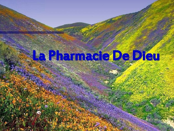 La Pharmacie De Dieu 