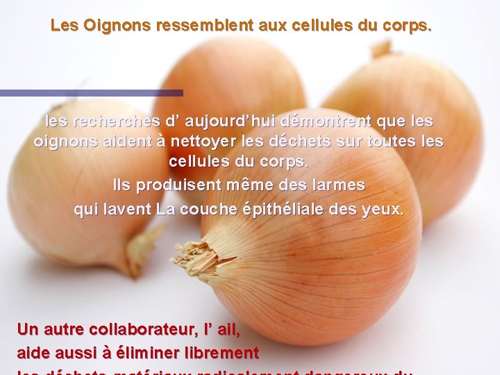 Les Oignons ressemblent aux cellules du corps. les recherches d’ aujourd’hui démontrent que les