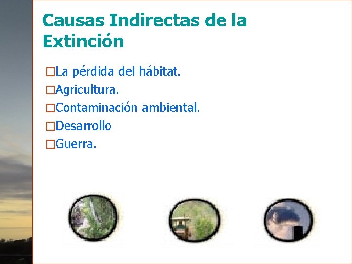 Causas Indirectas de la Extinción �La pérdida del hábitat. �Agricultura. �Contaminación ambiental. �Desarrollo �Guerra.