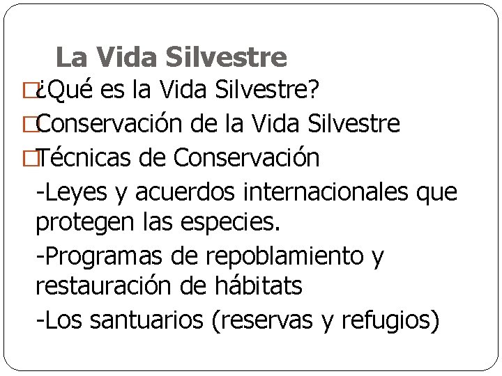 La Vida Silvestre �¿Qué es la Vida Silvestre? �Conservación de la Vida Silvestre �Técnicas