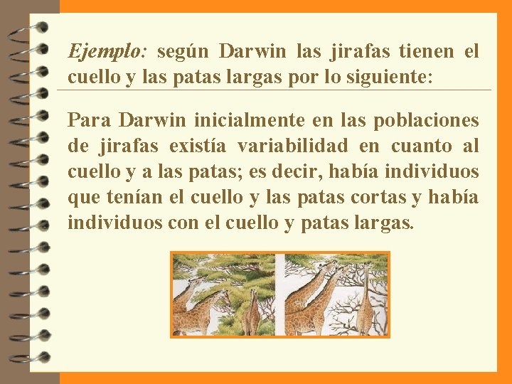 Ejemplo: según Darwin las jirafas tienen el cuello y las patas largas por lo