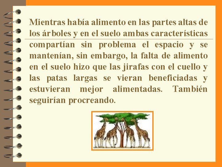 Mientras había alimento en las partes altas de los árboles y en el suelo