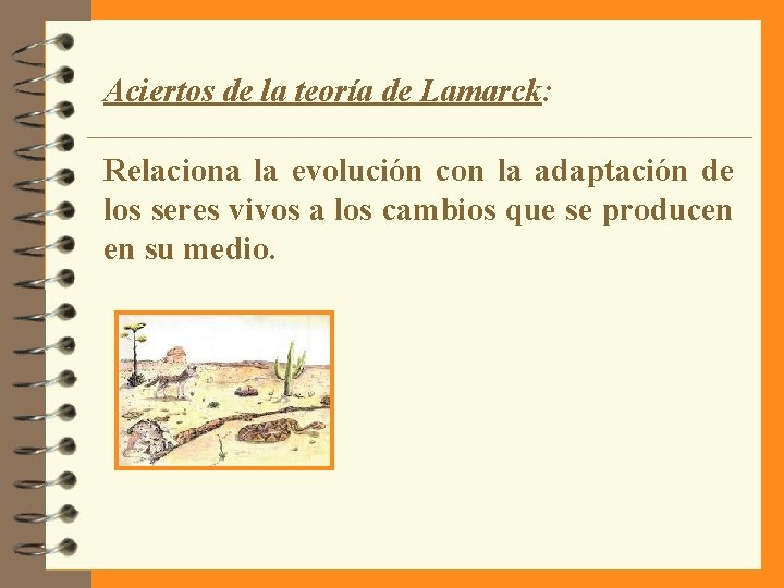 Aciertos de la teoría de Lamarck: Relaciona la evolución con la adaptación de los