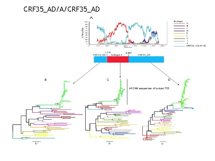 HIV1 pol diversity and drug resistance mutations among