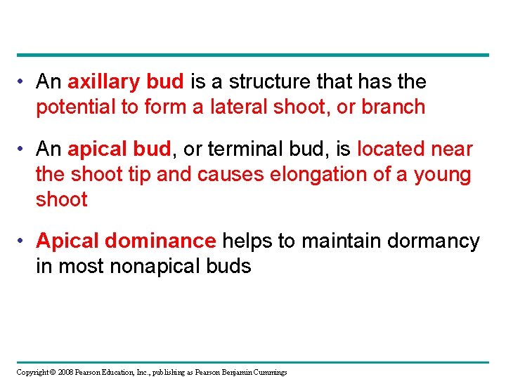  • An axillary bud is a structure that has the potential to form