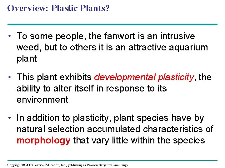 Overview: Plastic Plants? • To some people, the fanwort is an intrusive weed, but