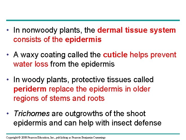  • In nonwoody plants, the dermal tissue system consists of the epidermis •