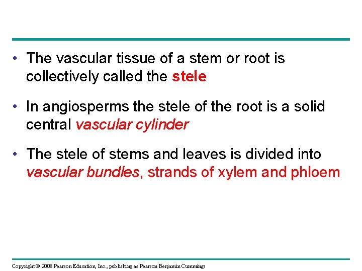  • The vascular tissue of a stem or root is collectively called the