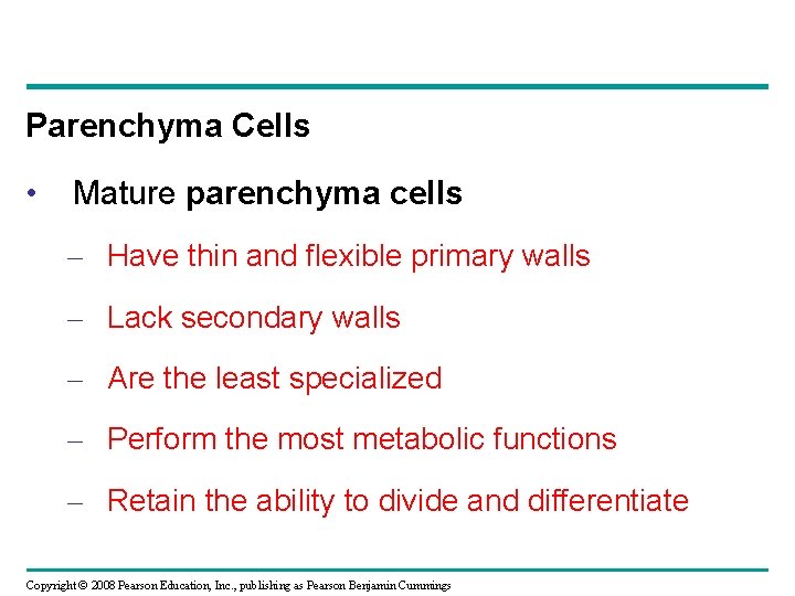 Parenchyma Cells • Mature parenchyma cells – Have thin and flexible primary walls –