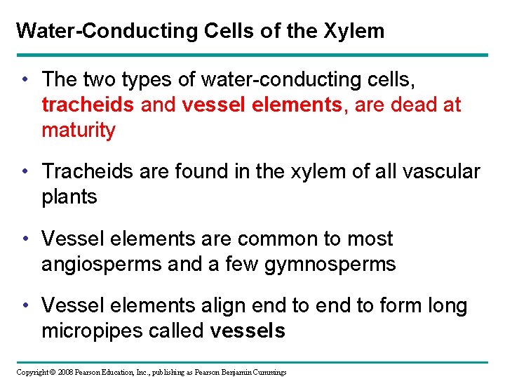 Water-Conducting Cells of the Xylem • The two types of water-conducting cells, tracheids and