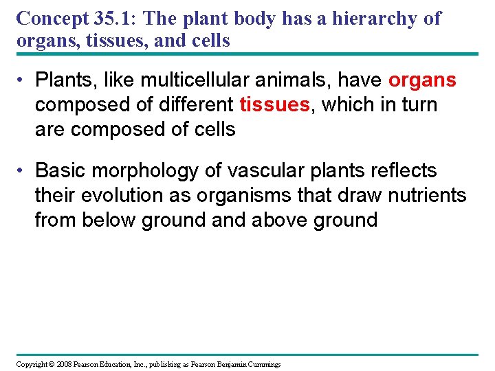 Concept 35. 1: The plant body has a hierarchy of organs, tissues, and cells