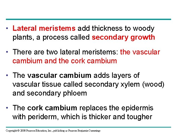  • Lateral meristems add thickness to woody plants, a process called secondary growth