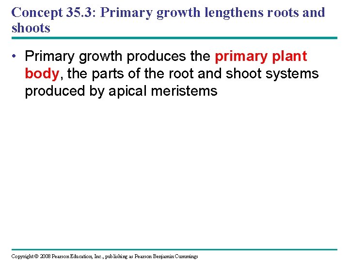 Concept 35. 3: Primary growth lengthens roots and shoots • Primary growth produces the