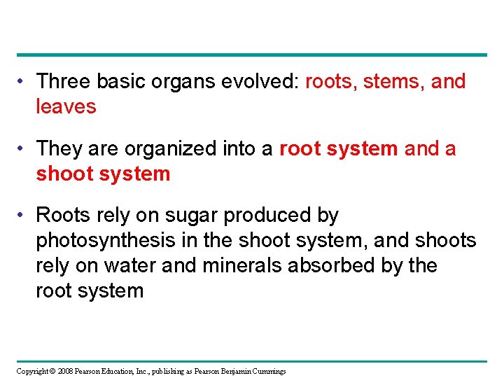  • Three basic organs evolved: roots, stems, and leaves • They are organized