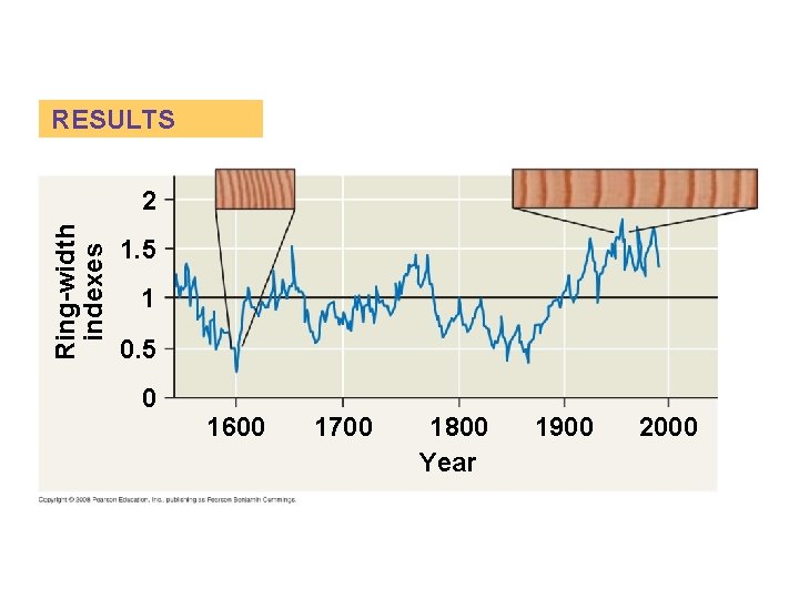 RESULTS Ring-width indexes 2 1. 5 1 0. 5 0 1600 1700 1800 Year