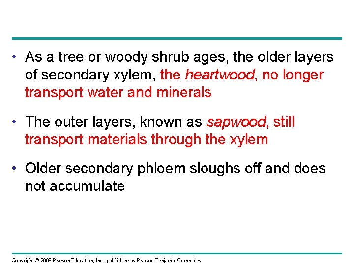  • As a tree or woody shrub ages, the older layers of secondary