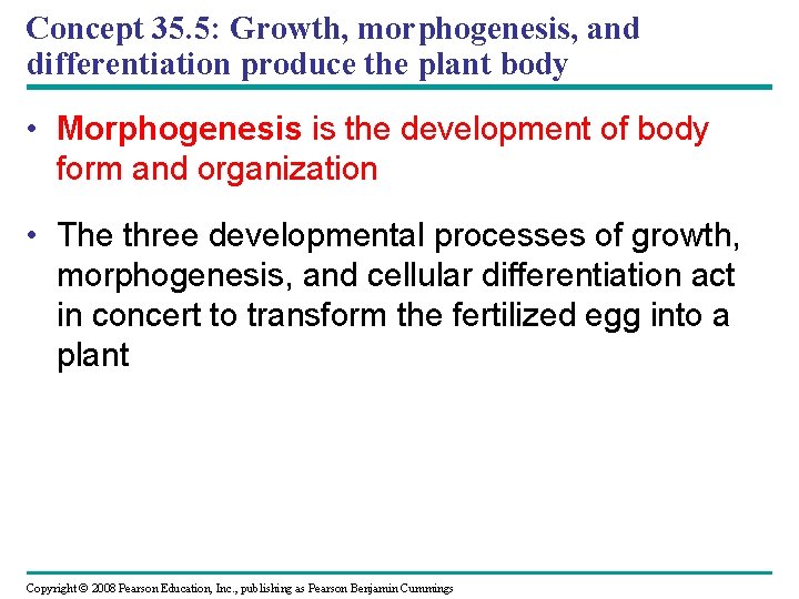 Concept 35. 5: Growth, morphogenesis, and differentiation produce the plant body • Morphogenesis is
