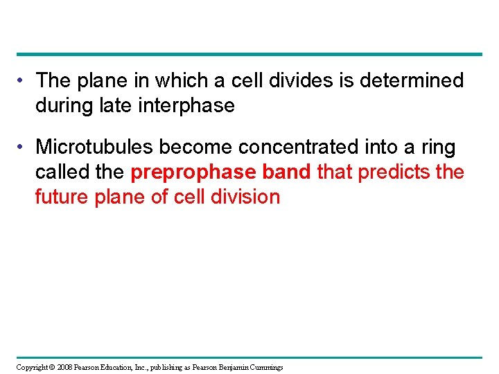  • The plane in which a cell divides is determined during late interphase