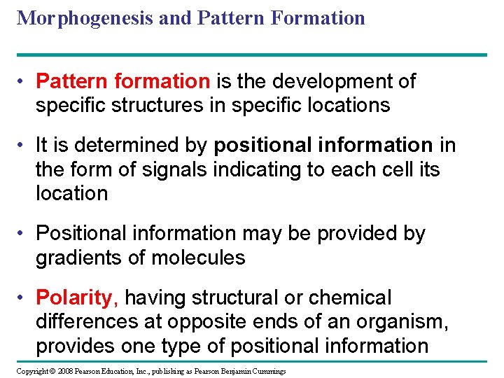 Morphogenesis and Pattern Formation • Pattern formation is the development of specific structures in