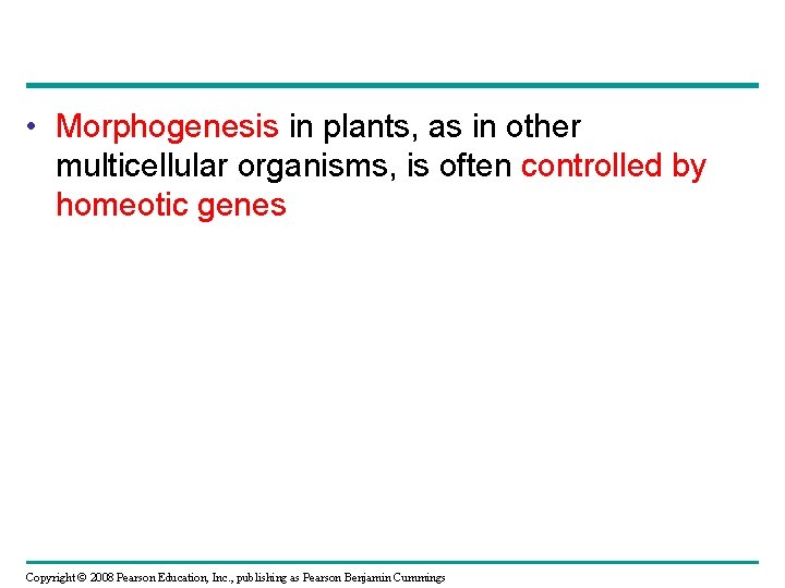  • Morphogenesis in plants, as in other multicellular organisms, is often controlled by