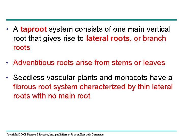  • A taproot system consists of one main vertical root that gives rise