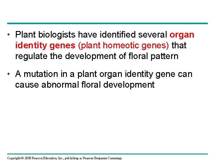  • Plant biologists have identified several organ identity genes (plant homeotic genes) that