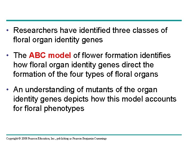  • Researchers have identified three classes of floral organ identity genes • The