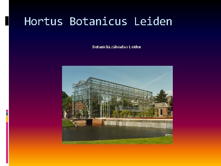 Hortus Botanicus Leiden Botanická záhrada v Leiden 