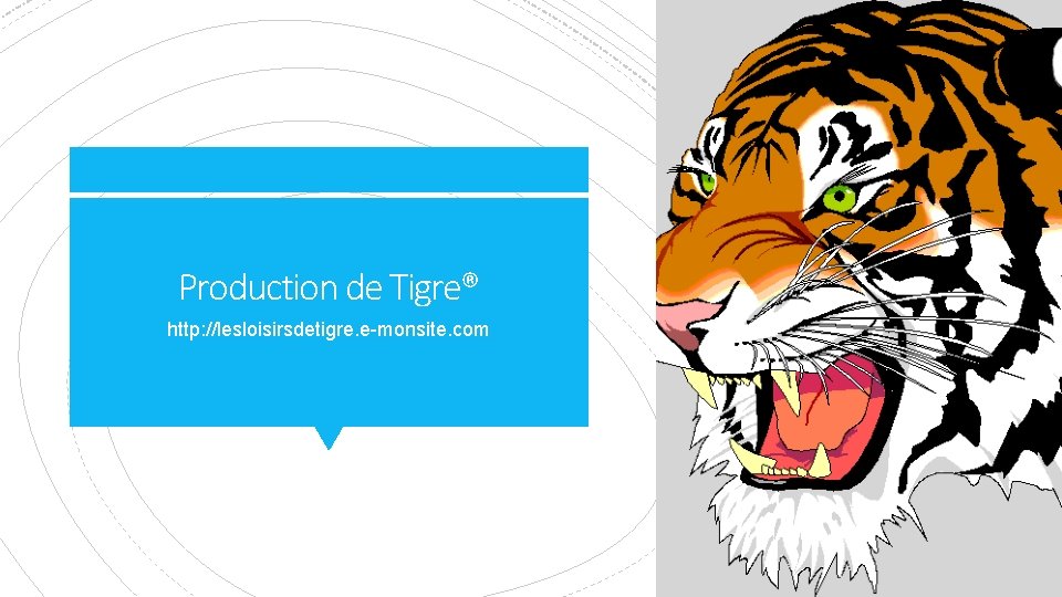 Production de Tigre® http: //lesloisirsdetigre. e-monsite. com 
