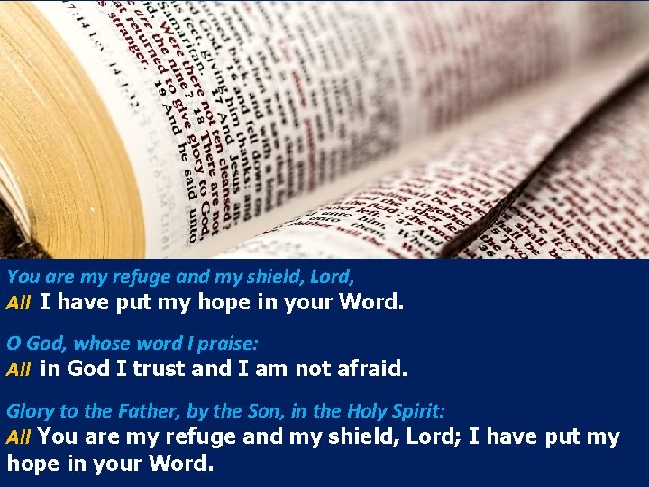 You are my refuge and my shield, Lord, All I have put my hope