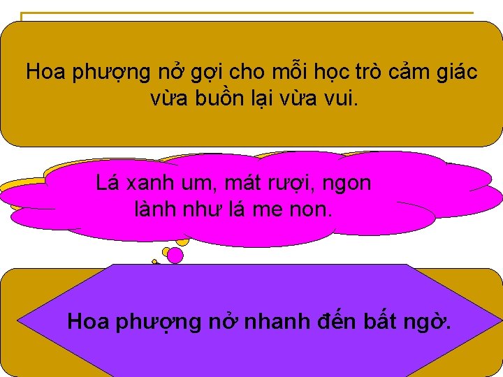 Hoa phượng nở gợi cho mỗi học trò cảm giác gì? Hoa phượng nở