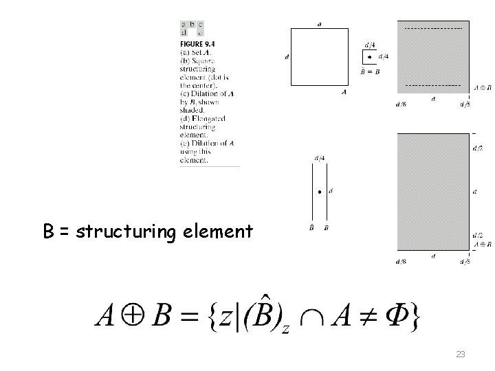 Dilation B = structuring element 23 