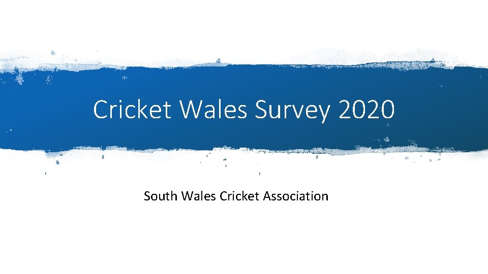 Cricket Wales Survey 2020 South Wales Cricket Association 